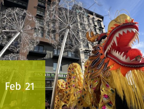 Lunar New Year Celebration